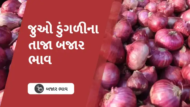 ગૃહિણીઓ